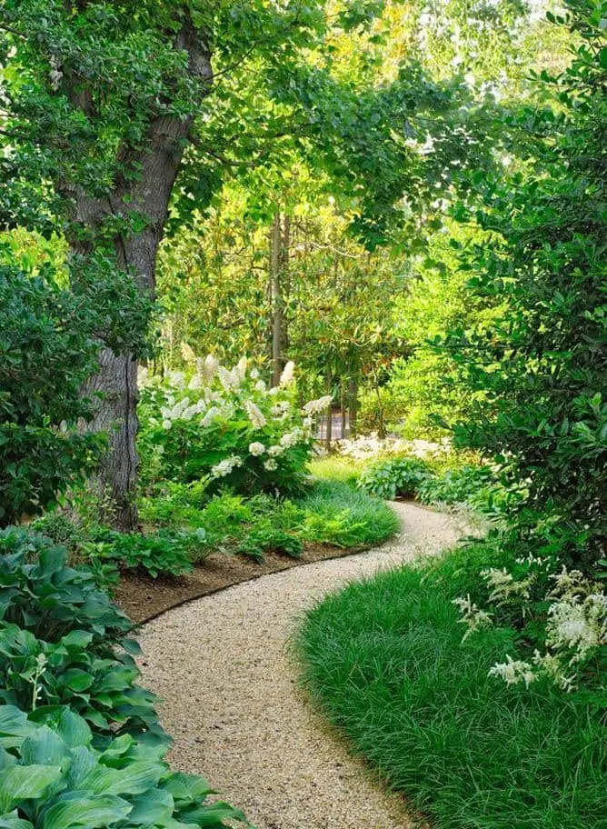 Path Through the Garden