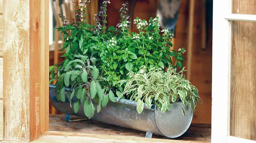 Planter for herb gardens on patios