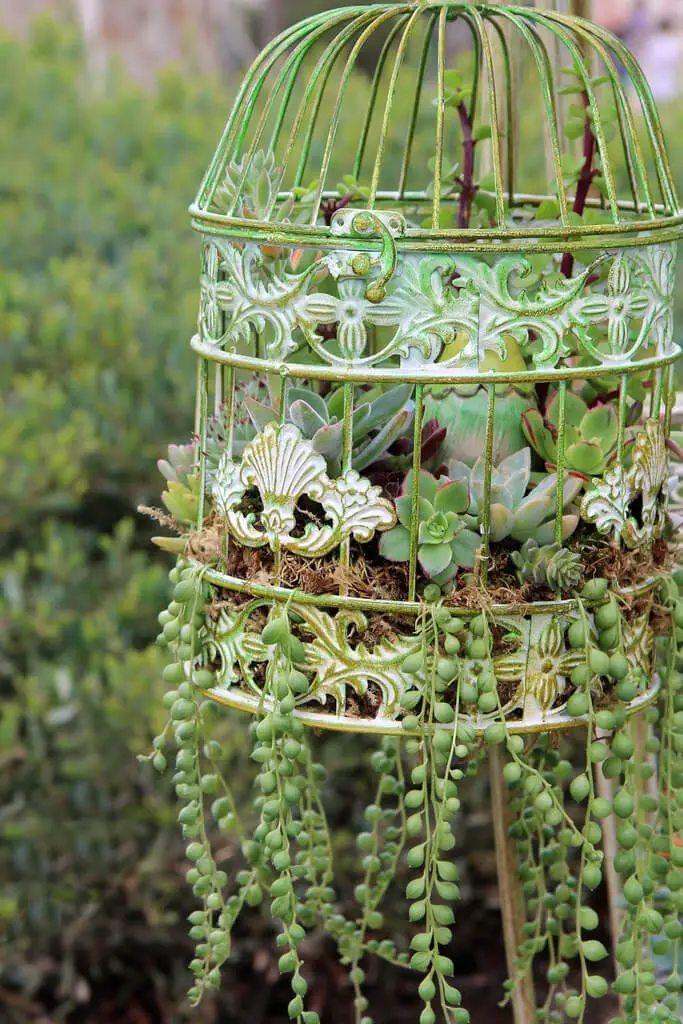 Vintage Bird Cage