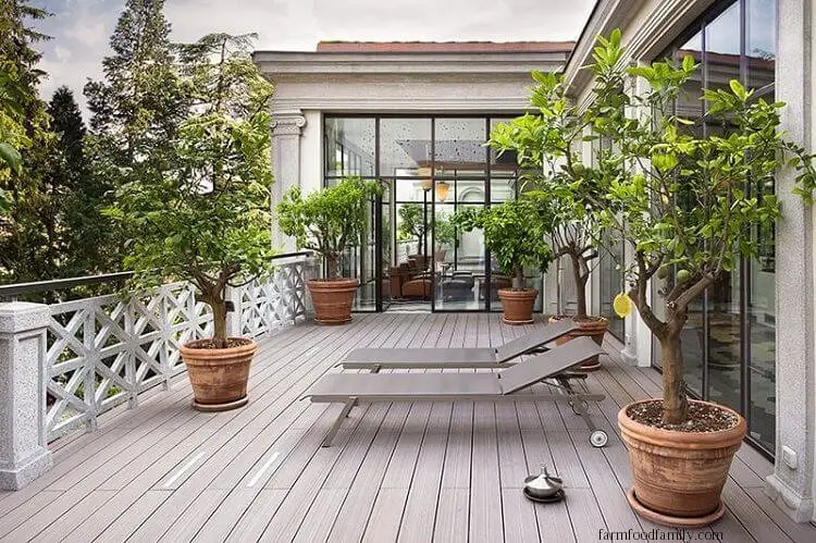 Think of the Stylish Sun Deck