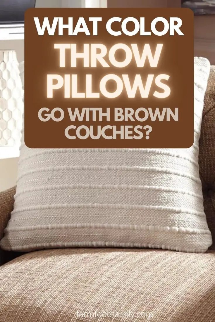 25 Throw Pillow Ideas For Your Brown Couches