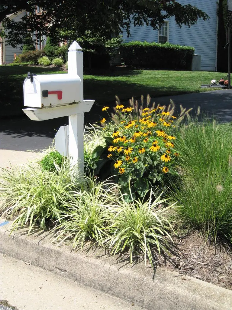 Low-Maintenance Mailbox Garden