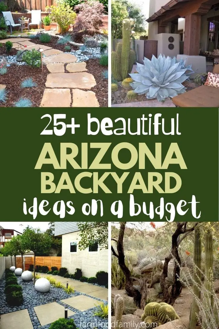 25+ Arizona Backyard Landscaping Ideas