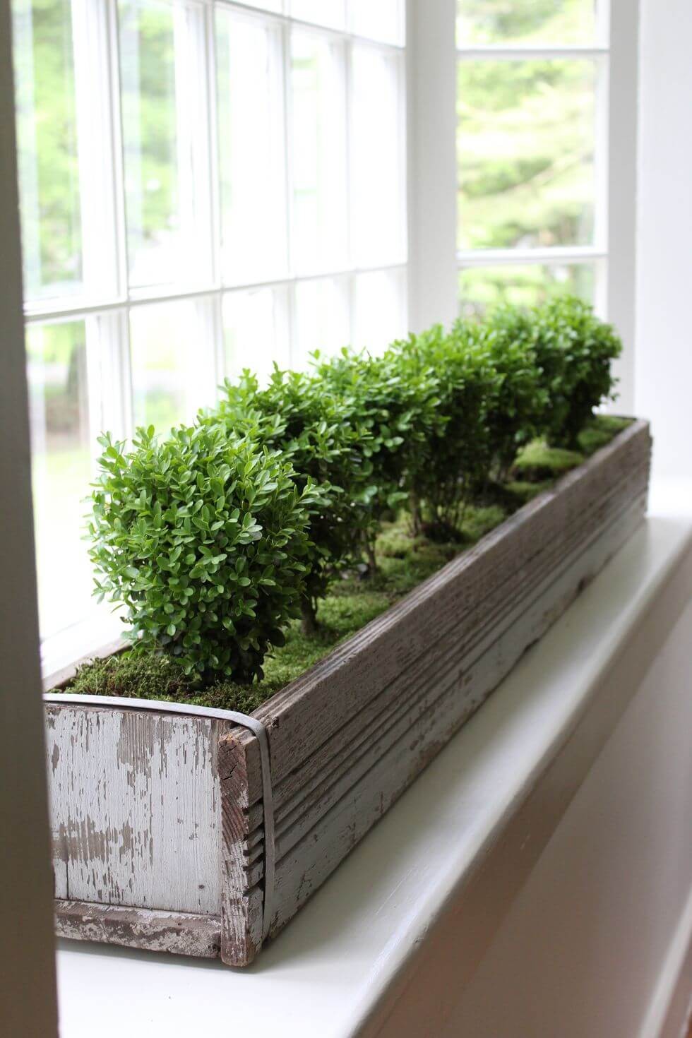 Wooden window box