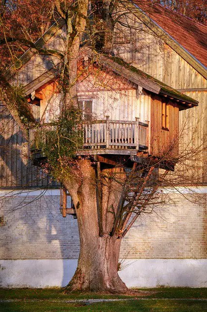 Treehouse