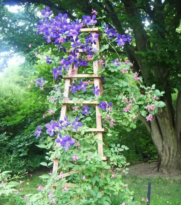 31-32. Rustic ladder flower planter