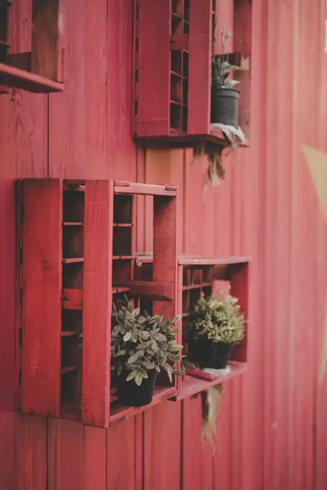 25- Pallet Shelf for House Plants