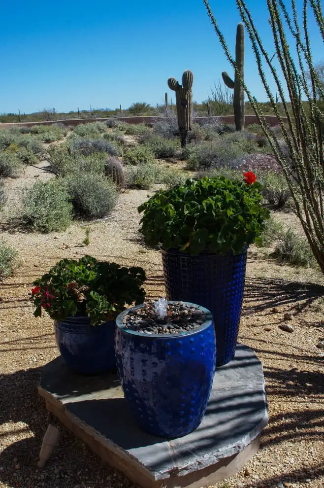 More Arizona backyard landscaping ideas