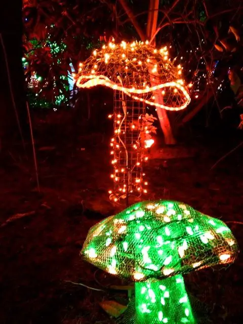 Lightup Toadstools