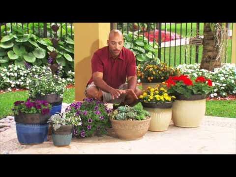 How do you decorate a porch with flowers?