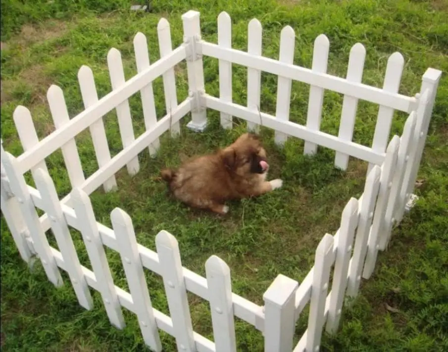 Wood fence ideas for dogs