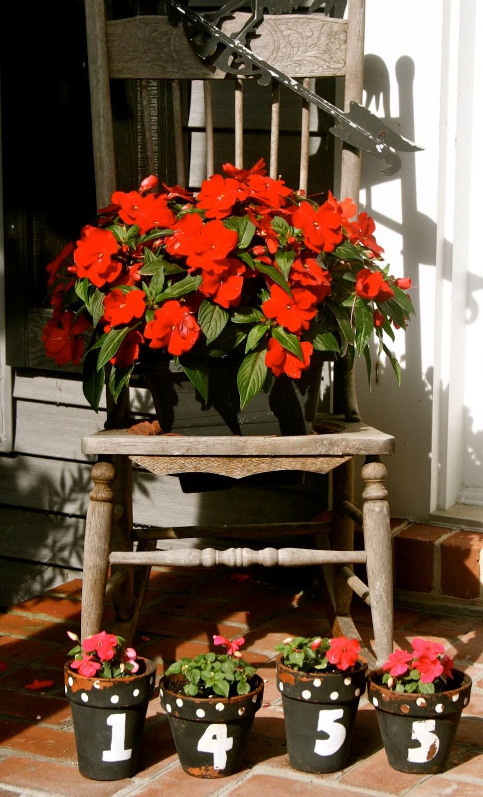 New Guinea impatiens with house number pots