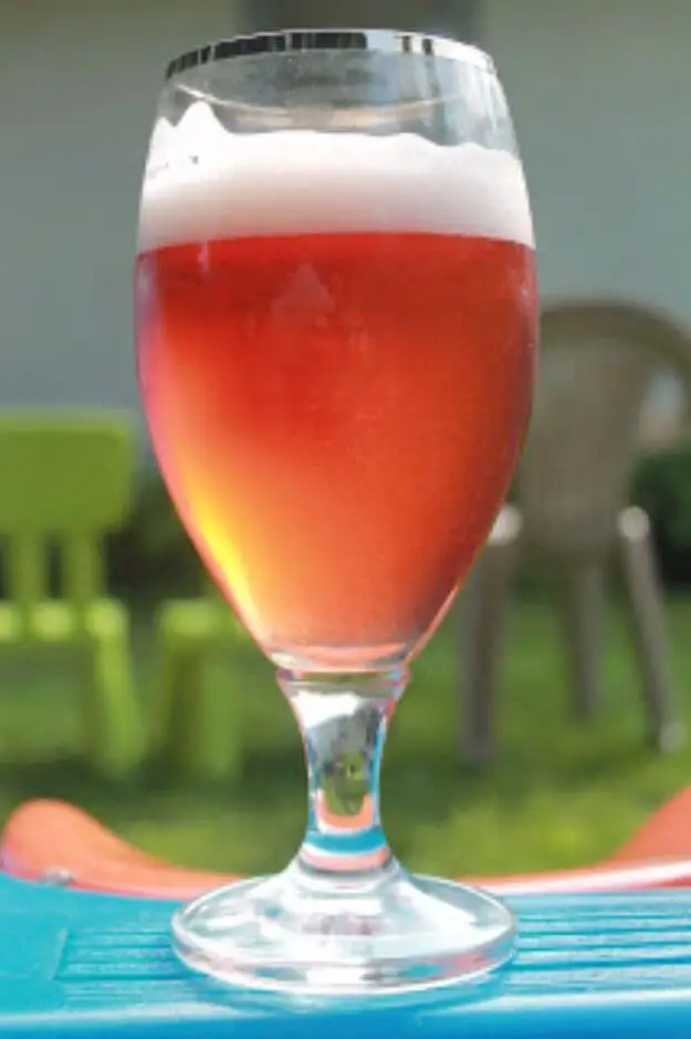 Raspberry Wheat Beer