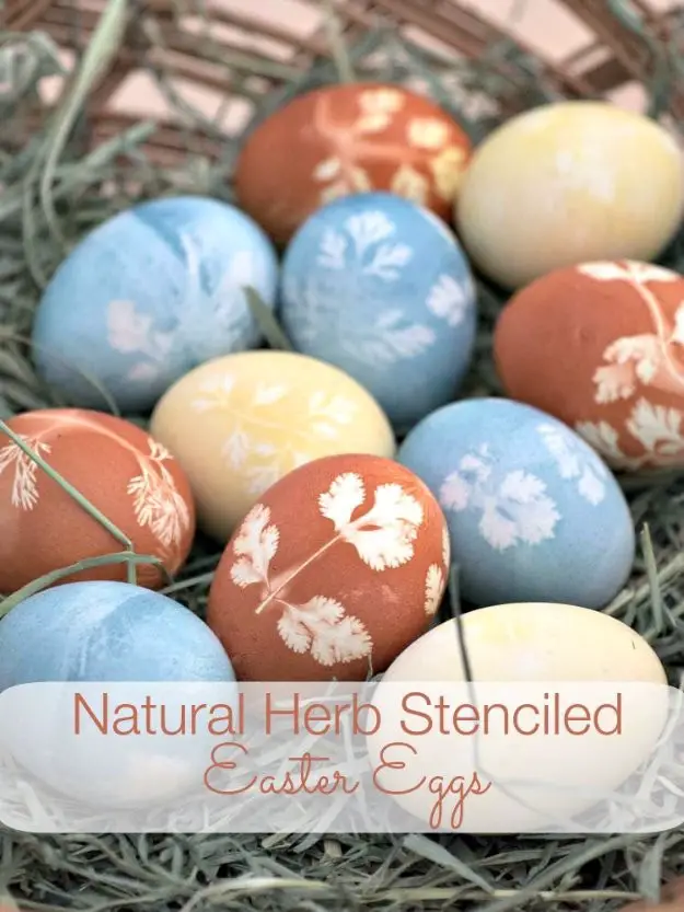 Natural Herb Stenciled Easter Eggs