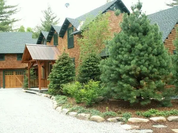 14+ Pine Tree Landscaping Ideas