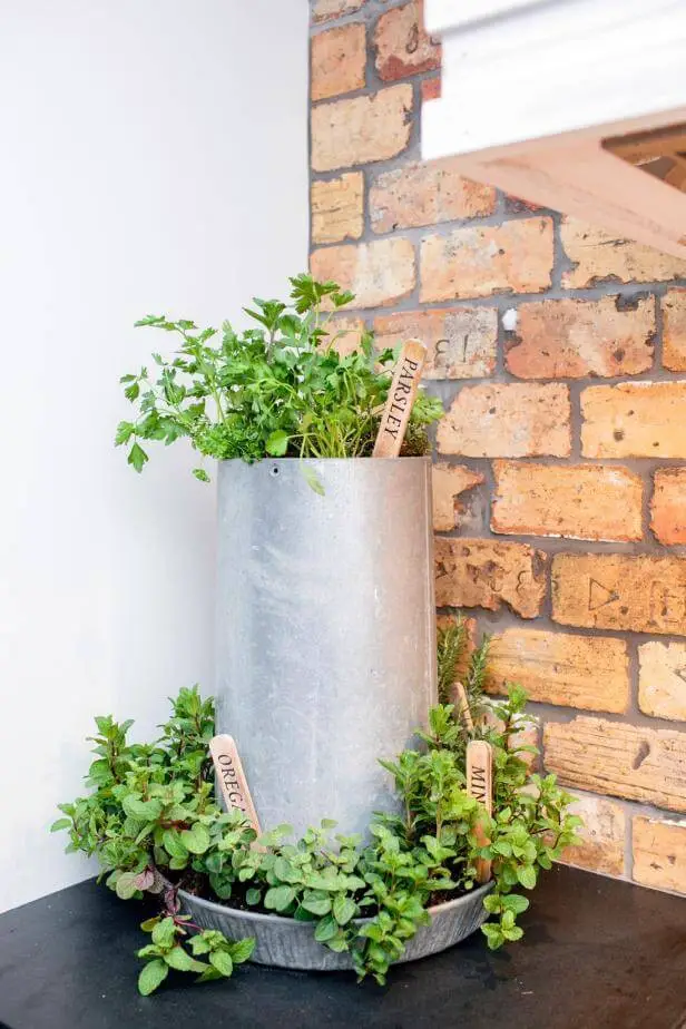 Recycled herb container