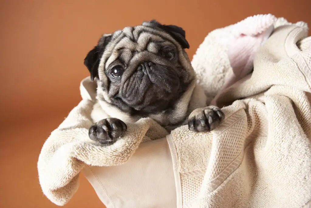 Let go the dryer sheets and use more absorbent towels