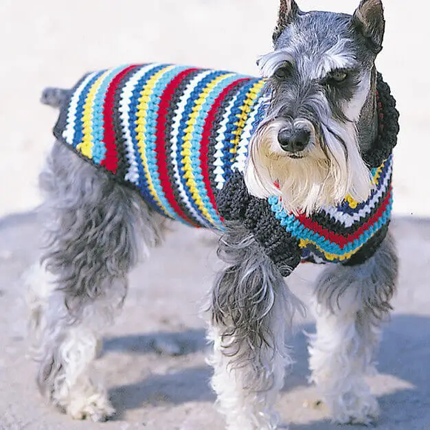 Bernat crochet dog coat