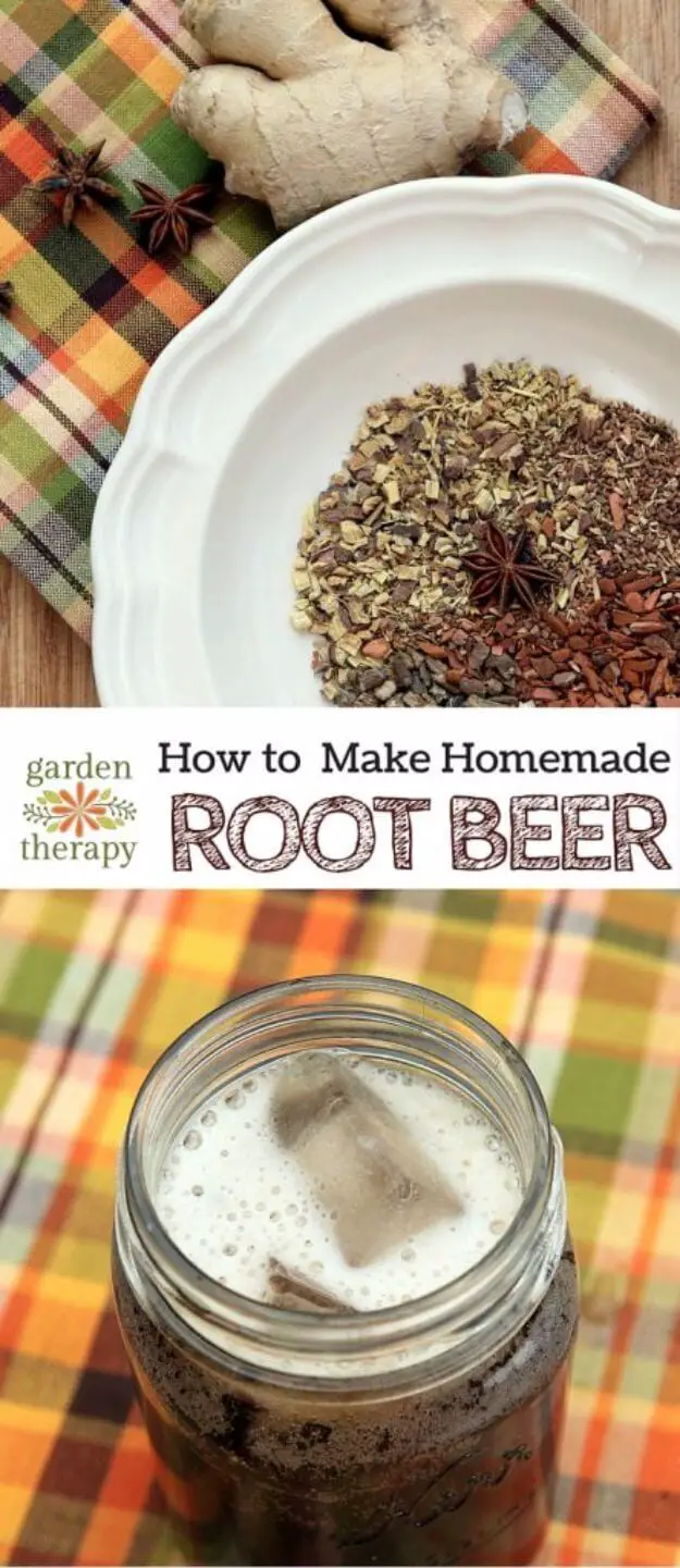 Homemade Root Beer