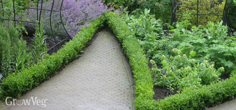 How To Use Herbs As Edging