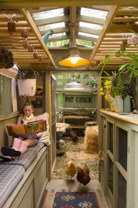 Modern chicken coop idea