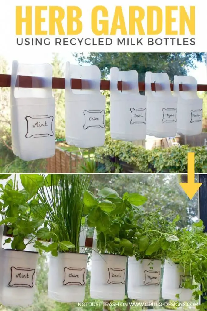 Indoor Bottle Herb Garden – From Recycled Milk Bottles