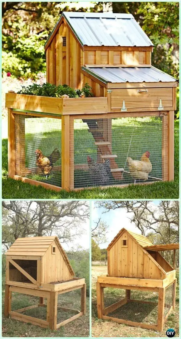 DIY Saltbox Chicken Coop with a Planter