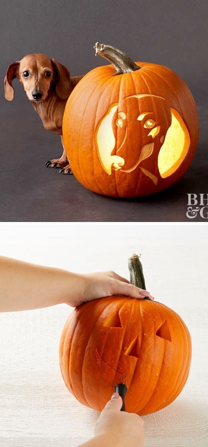 Funny pumpkin carving ideas