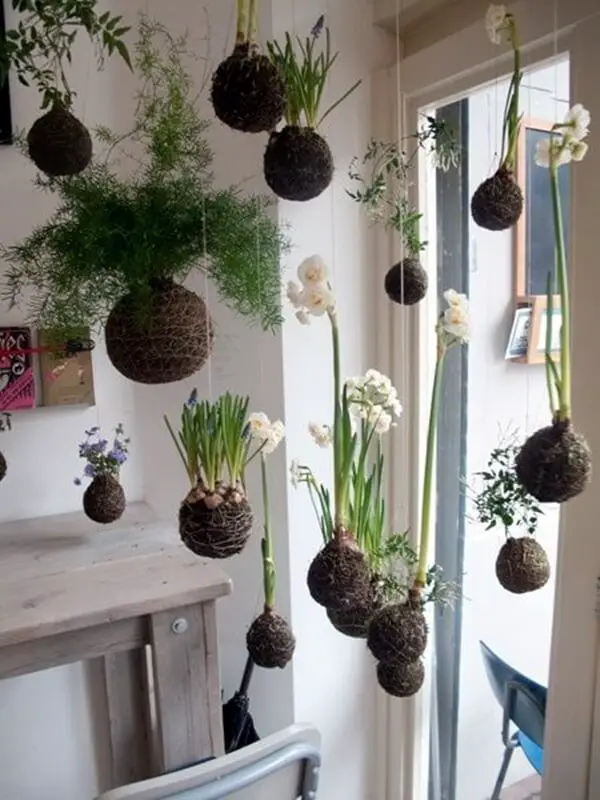 And many more indoor garden ideas…