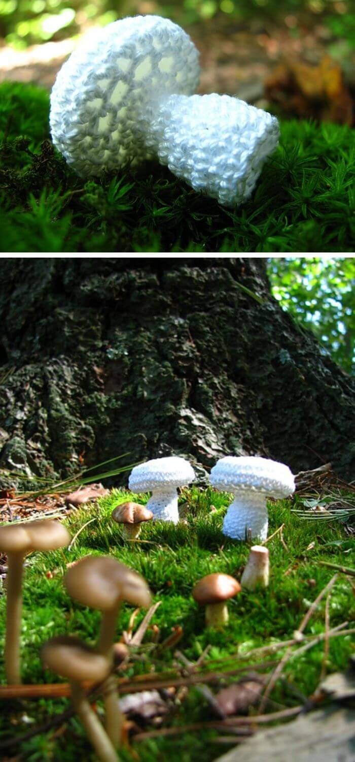 Vintage button Mushrooms