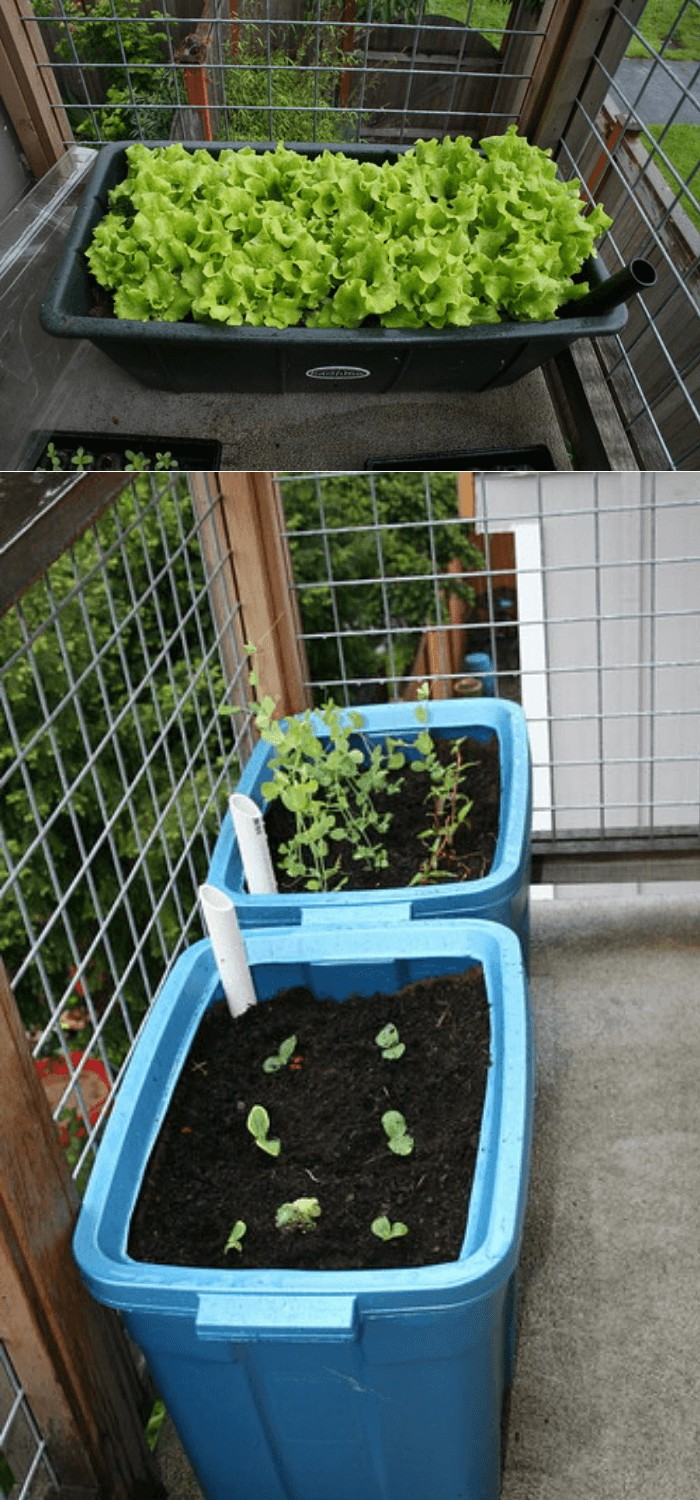 #8. Apartment-style garden bed