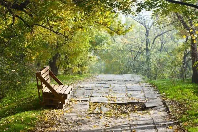 Wooden Pallet Bench