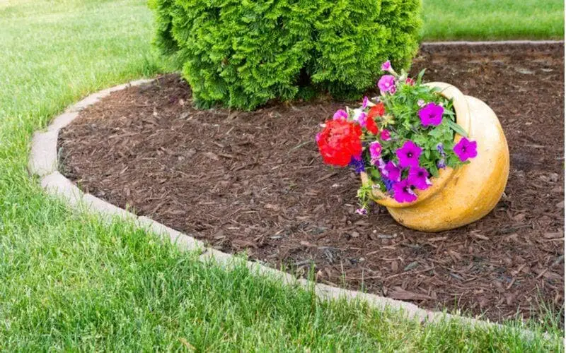 Flower pot on your flower beds