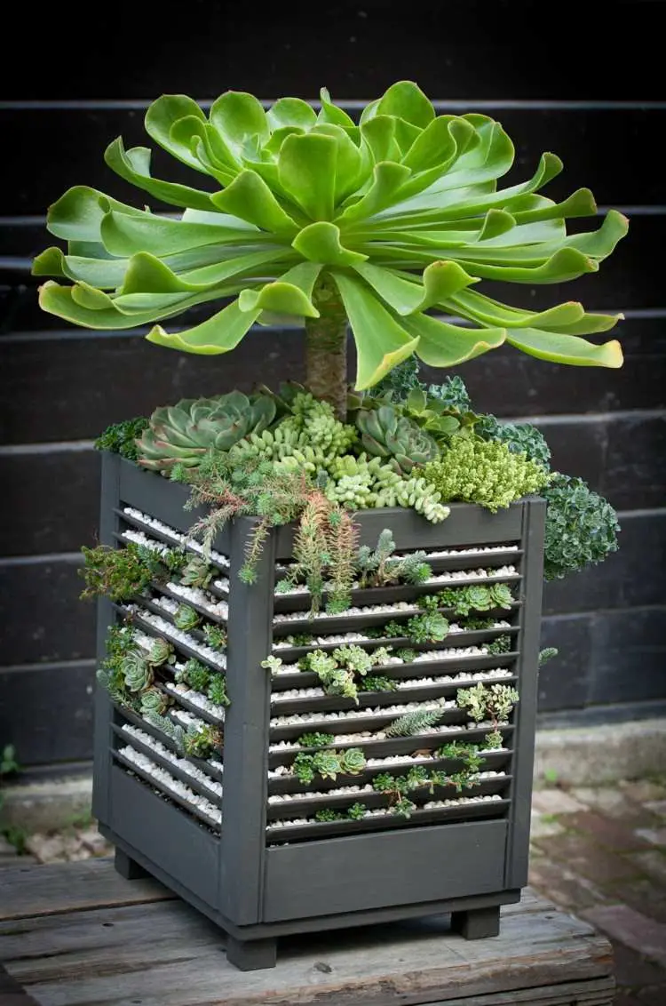 Pot with decorative gravel and succulents