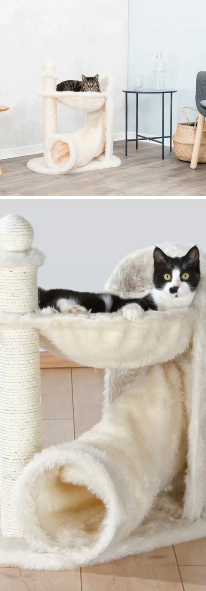 Let Them Climb The Cat Tree