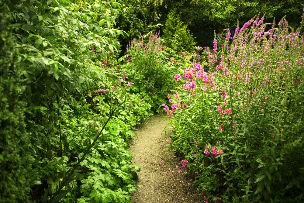 Lettered Stone Garden Path