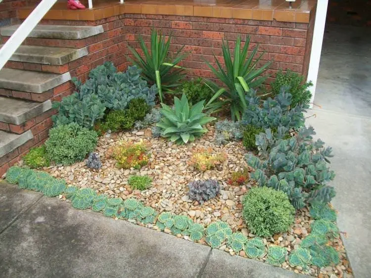 Small garden embellished by some succulents