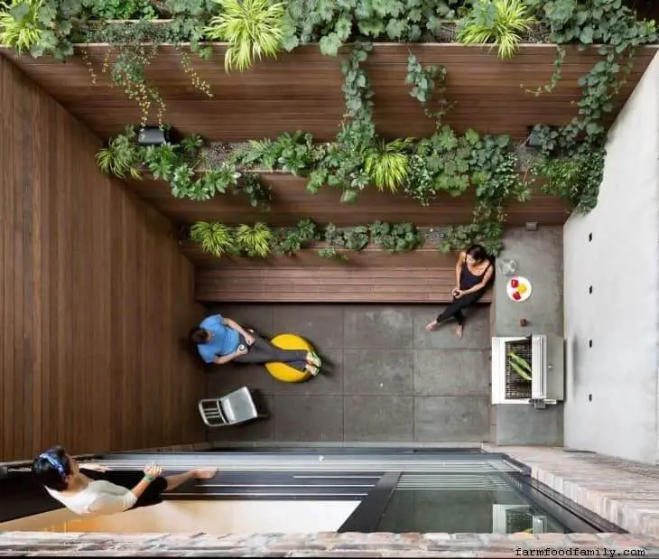 Backyard courtyard