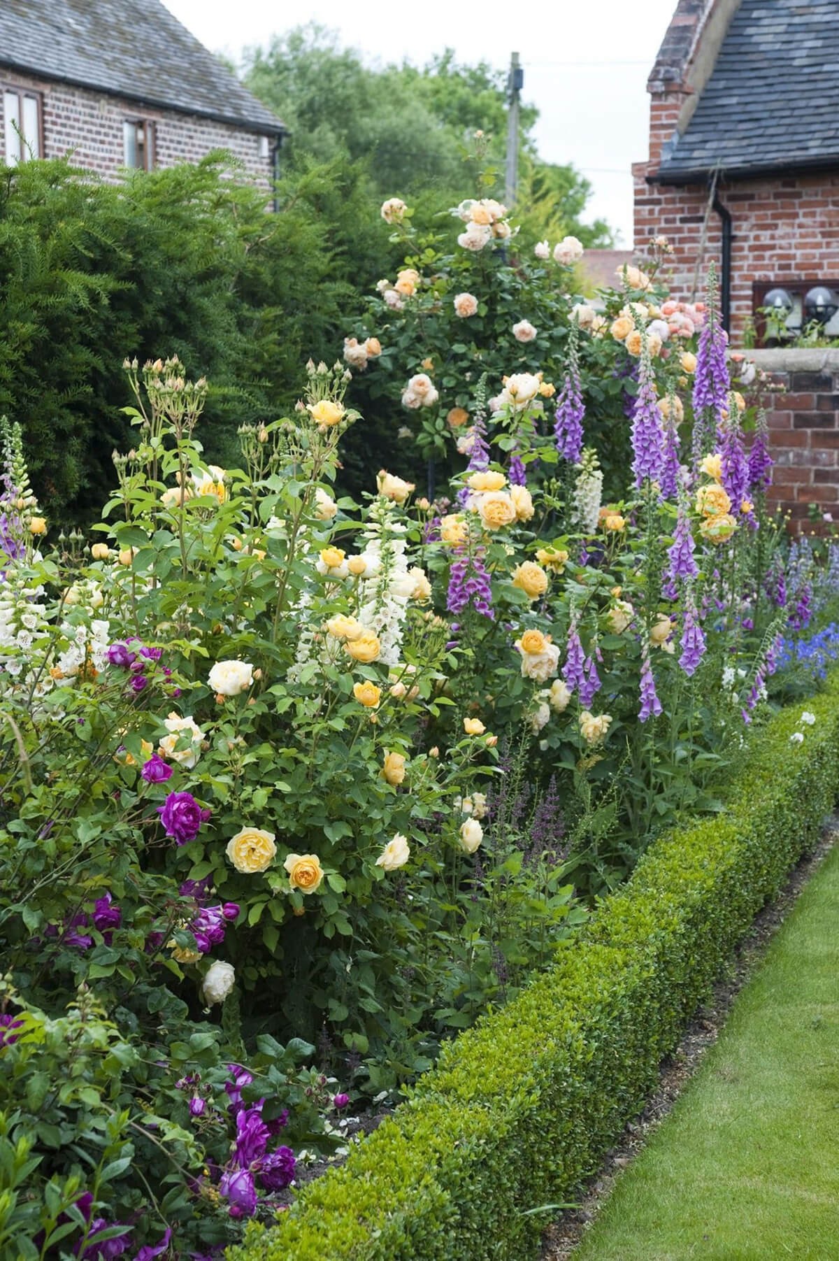 Container Gardening