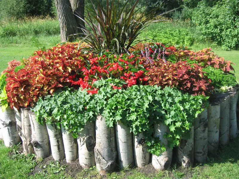 Log Garden Bed