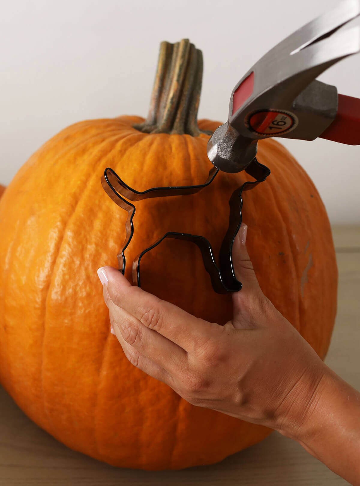 Funny pumpkin carving ideas