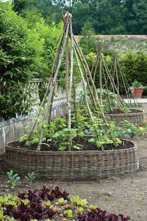 Vegetable Garden Design