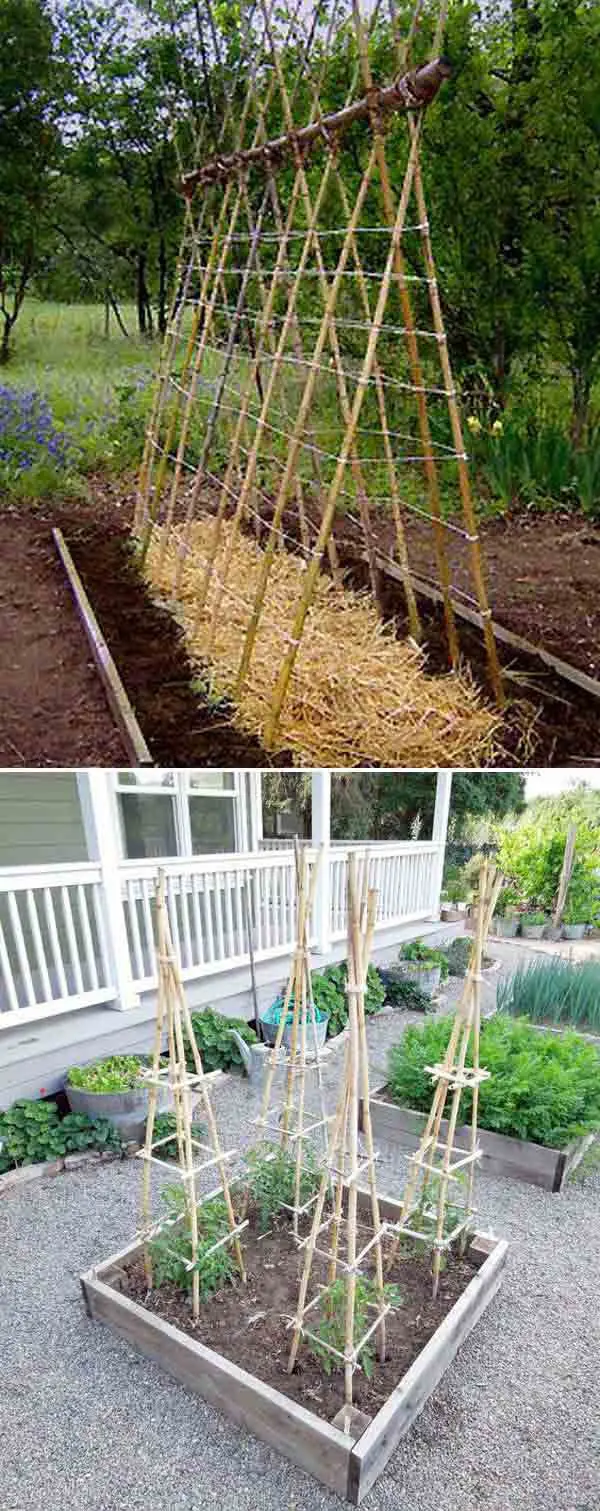 Bamboo Tomato Cage