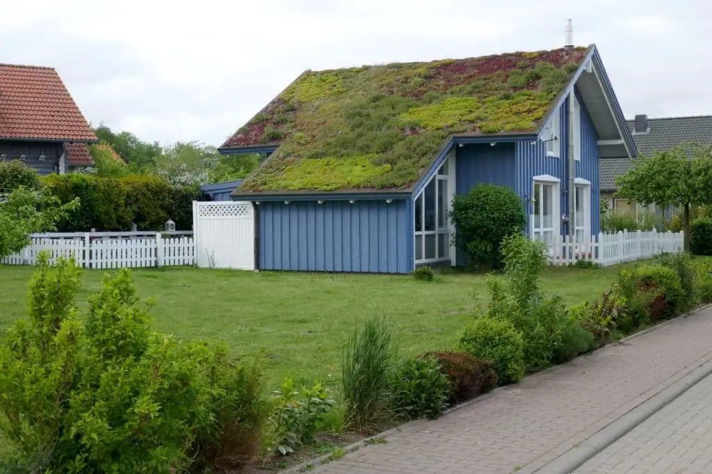 Green Roofs