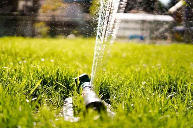 How Much Does It Cost To Install A Sprinkler System?