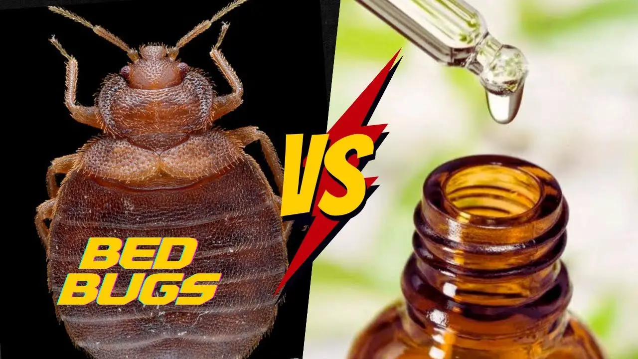 Efficacy Against Bed Bugs