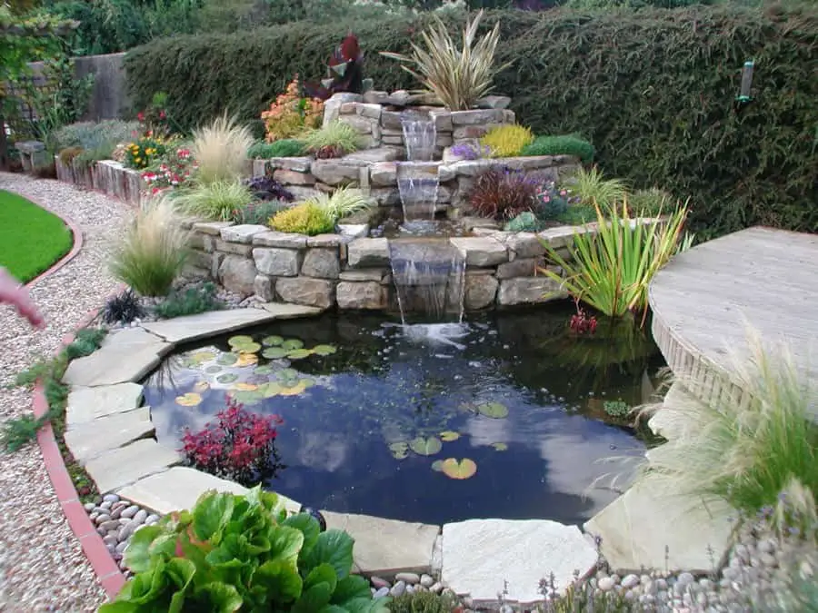 Go Vast, Create a Fishpond In The Backyard