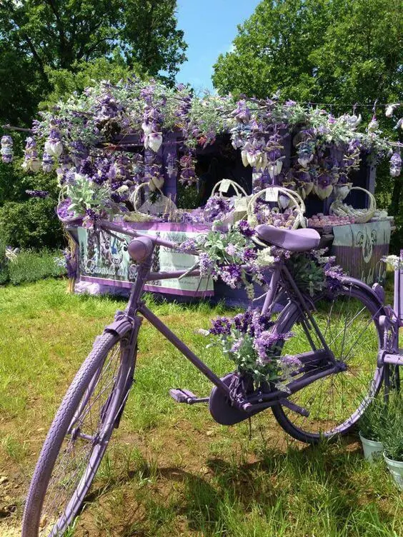 Lavender Bicycle