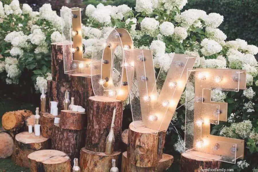 Romantic candlelit tree stumps