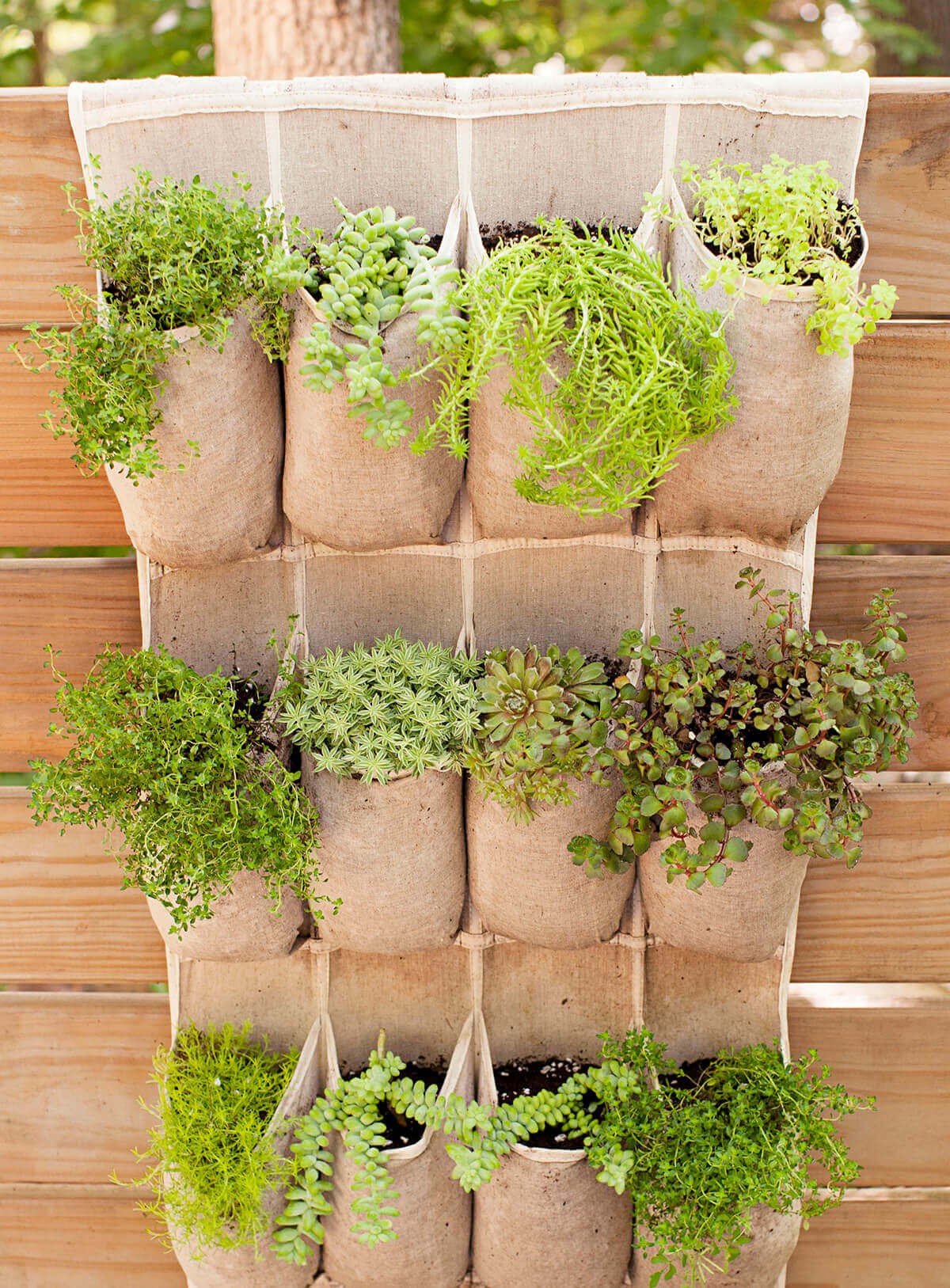 Denim Pockets for Wall-Mounted Planters